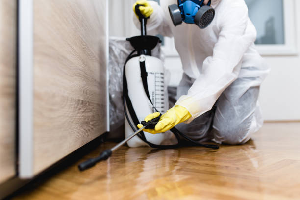 Pest Control Cost in Sparta, IL