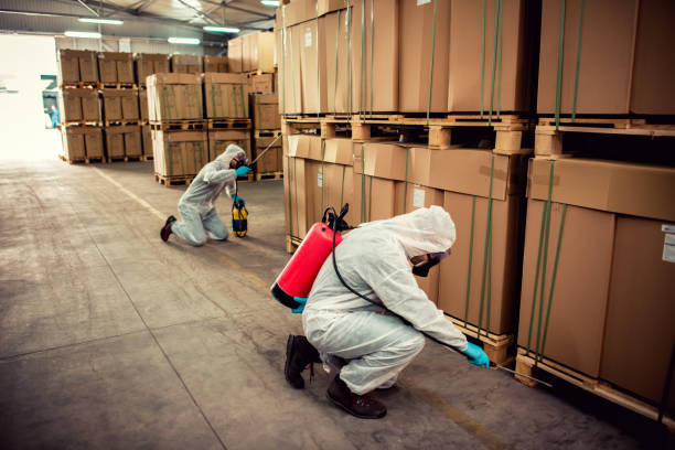 Best Affordable Exterminators  in Sparta, IL