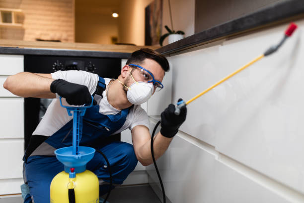 Professional Pest Control in Sparta, IL