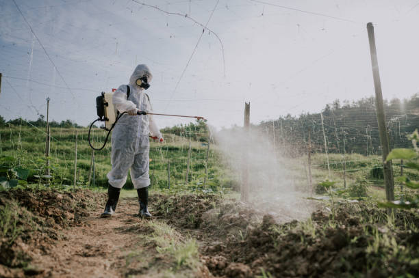 Best Pest Removal Services  in Sparta, IL