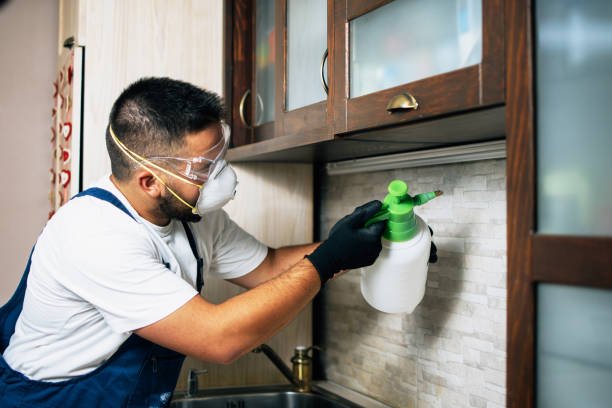 Best Pest Control Near Me  in Sparta, IL