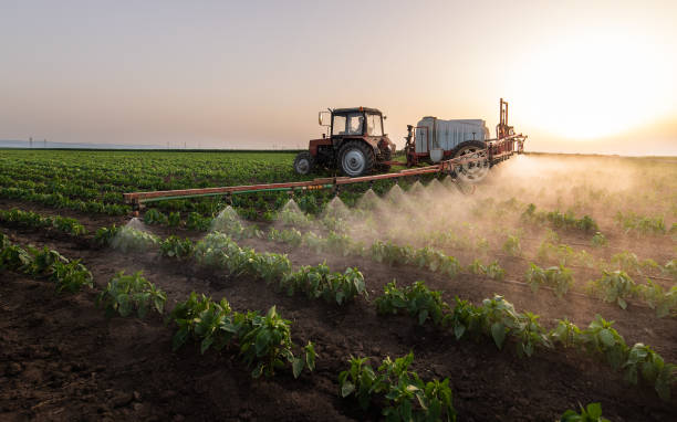 Best Cockroach Control Services  in Sparta, IL