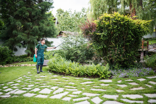 Best Local Pest Control Services  in Sparta, IL