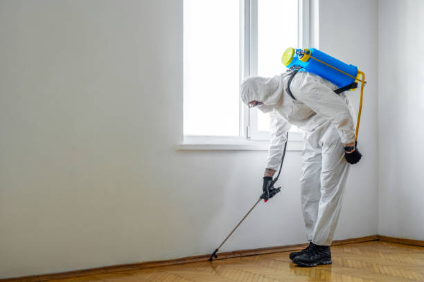 Pest Prevention Services in Sparta, IL