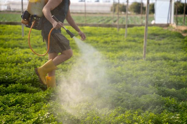 Pest Prevention Services in Sparta, IL