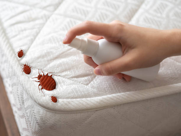 Best Pest Inspection Near Me  in Sparta, IL