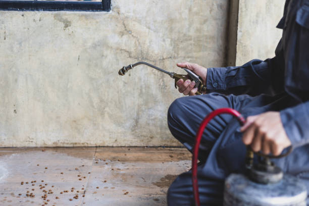 Best Flea Control Services  in Sparta, IL